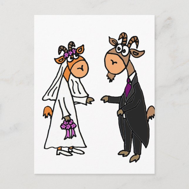 Carte Postale Amusante mariée et Mariage de chèvre de chambre (Devant)