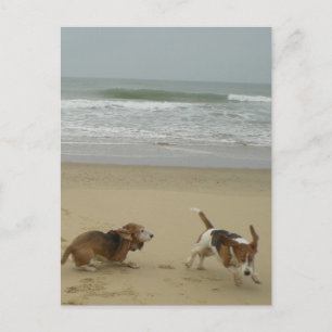 Carte Postale Amusement sur la plage