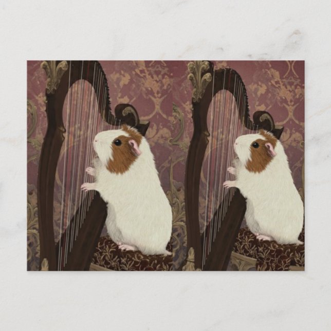 Carte Postale An Evening Recital – Artistic Guinea Pig Postcard (Devant)
