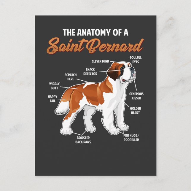 Carte Postale Anatomie amusante d'un ami animal chien Saint Bern (Devant)
