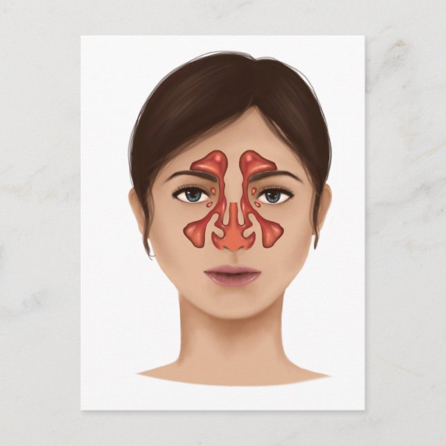 Carte Postale Anatomie Des Sinus Nasaux (Devant)