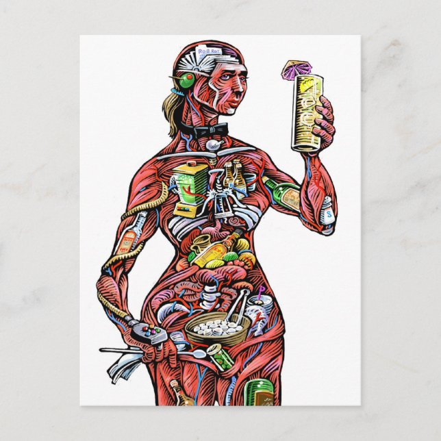 Carte postale Anatomie du barman (femelle) (Devant)