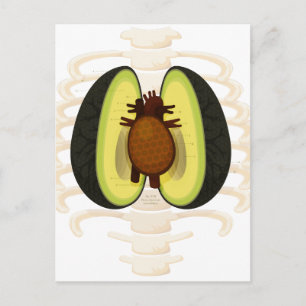 Carte Postale Anatomie d'un avocat
