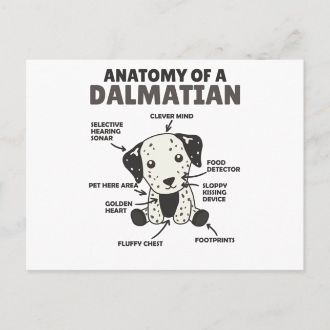 Carte Postale Anatomie D'Un Chien Doux Dalmatien Chien Drôle Chi (Devant)