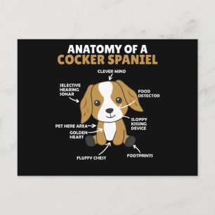 Carte Postale Anatomie D'Un Cocker Spaniel Cute Chiens Chiot