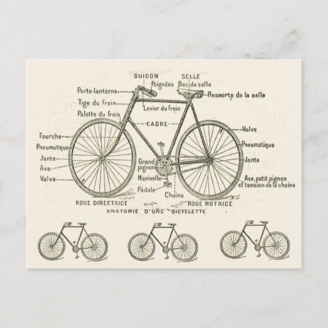 Carte Postale Anatomie d'une bicyclette (Devant)