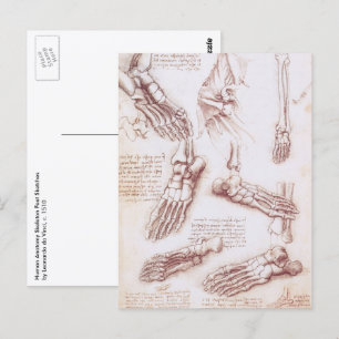 Carte Postale Anatomie humaine des os du pied par Léonard de Vin
