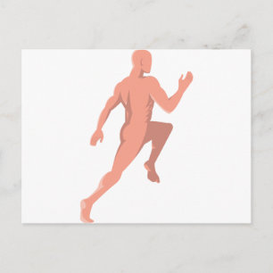 Carte Postale anatomie humaine masculine à l'arrière