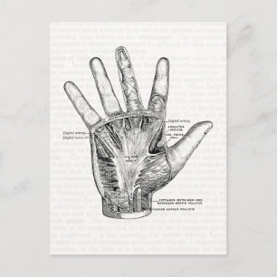 Carte Postale Anatomie vintage La Palme de la Main