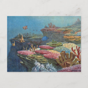 Carte Postale Ancien corail de mer Antique Imprimer