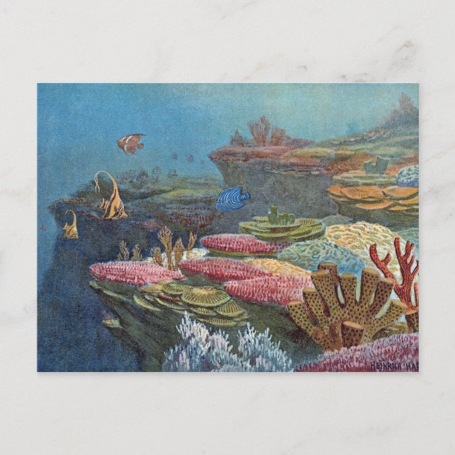 Carte Postale Ancien corail de mer Antique Imprimer (Devant)
