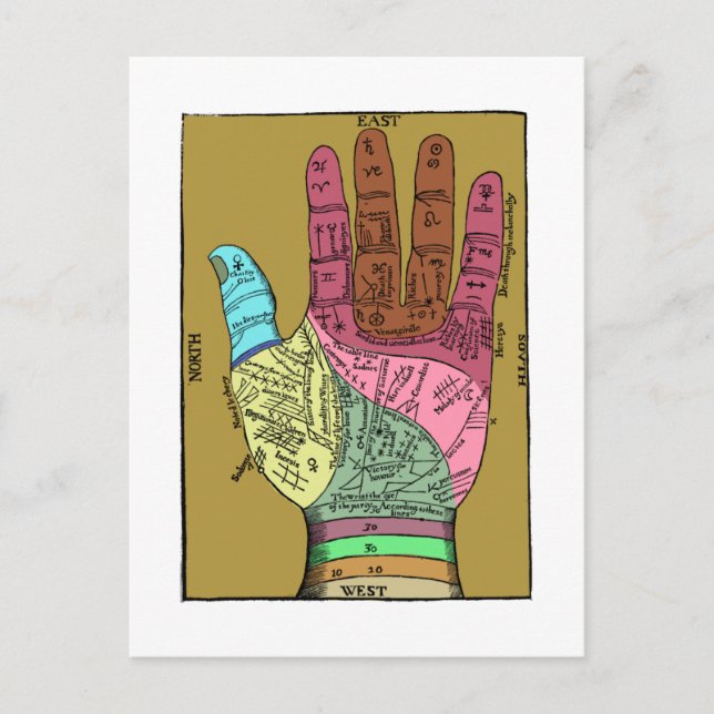 Carte Postale Ancien graphique de lecture de palme (Devant)