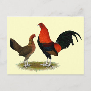 Carte Postale Ancien jeu anglais Bantams :  Paire rouge BB