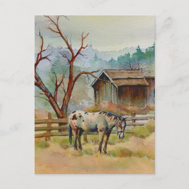 Carte Postale ANCIENNE BARN & APPALOOSA par SHARON SHARPE (Devant)