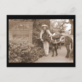 Carte postale ancienne d'âne