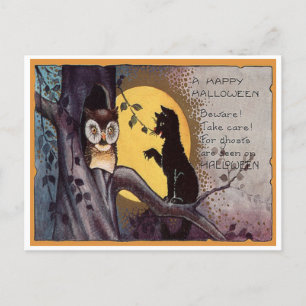 Carte postale ancienne de Halloween avec hibou et 