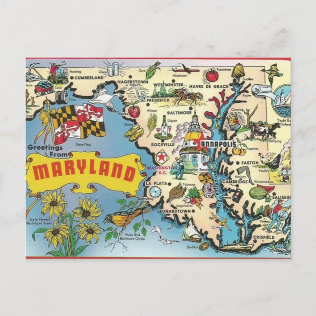 Carte postale ancienne du Maryland (Devant)