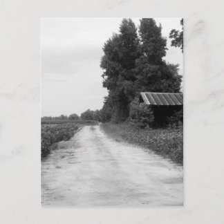 Carte Postale Ancienne grange d'immeuble en Caroline du Nord