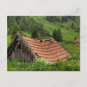 CARTE POSTALE ANCIENNE HUILE