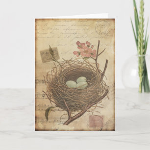 Carte postale ancienne Nid d'oiseau et oeufs