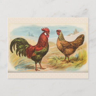 Carte postale ancienne "Poules Leghorn"