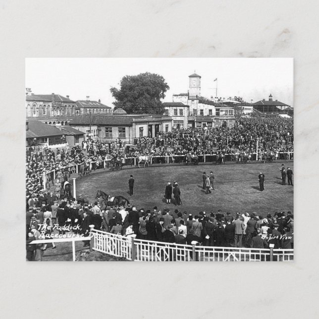 Carte postale ancienne - The Paddock, Hippodrome d (Devant)