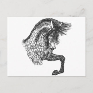 Carte Postale Andalou caracolant