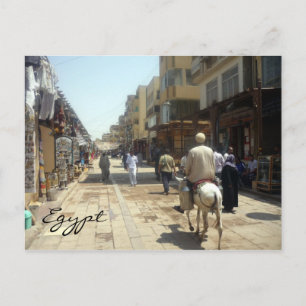 Carte Postale âne aswan