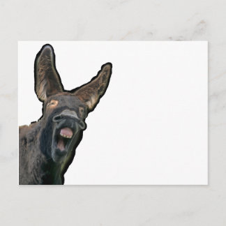 Carte Postale Âne de Poitou