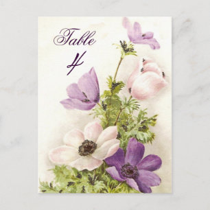 Carte Postale Anémon vintage