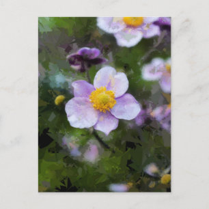 Carte Postale Anémone