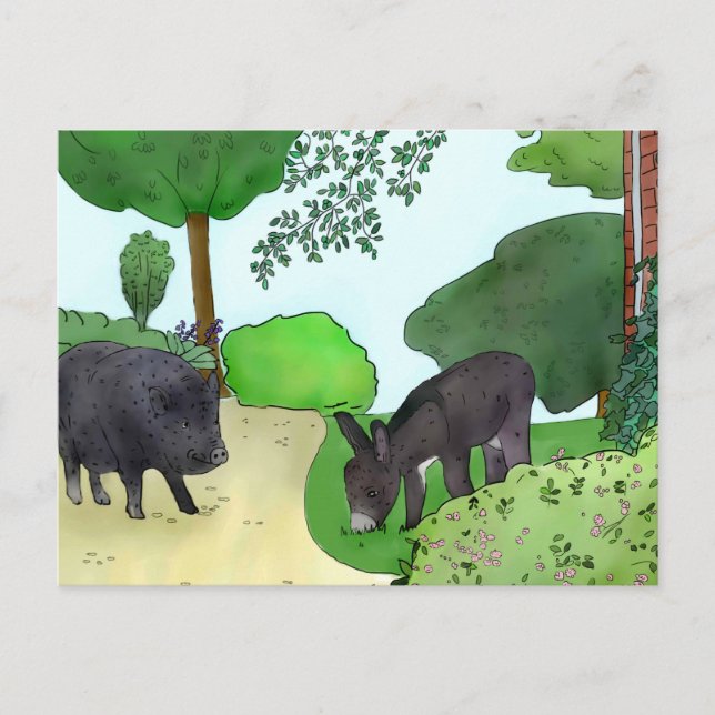 Carte Postale Ânes et cochons (Devant)