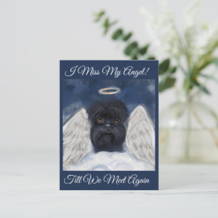 Carte Postale Ange Affenpinscher  