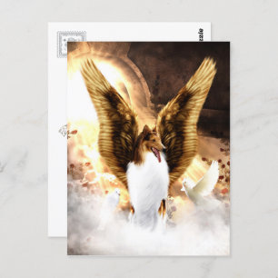 Carte Postale Ange Collie ailé dans le paradis des chiens