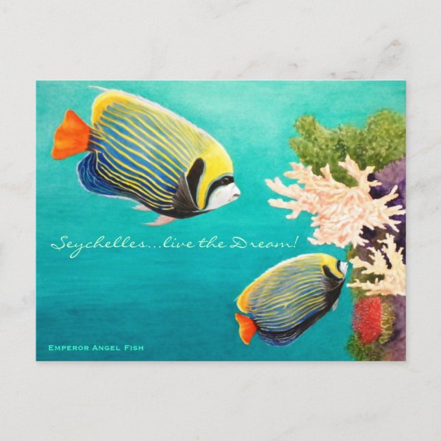 Carte Postale Ange d'empereur (Devant)