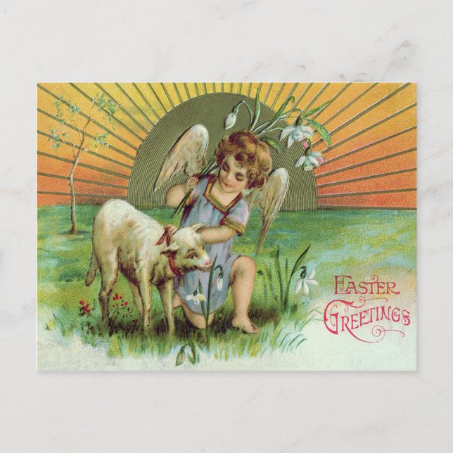 Carte Postale Angel Cherub Agneau solaire Mouton (Devant)