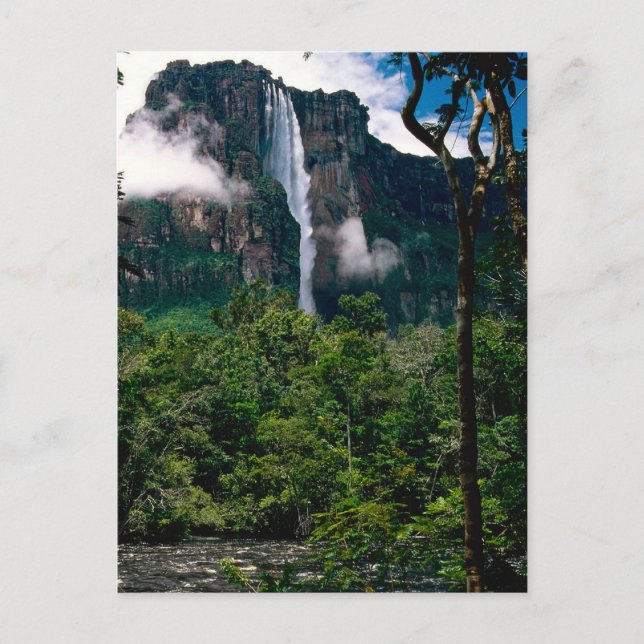 Carte Postale Angel Falls (Devant)