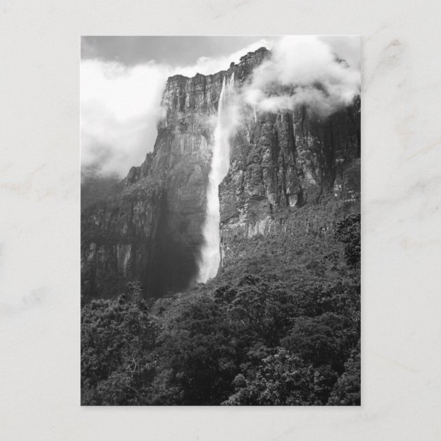 Carte Postale Angel Falls en noir et blanc (Devant)