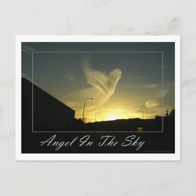 Carte Postale Angel In The Sky (Los Angeles) (Devant)