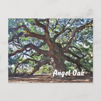 Carte Postale Angel Oak