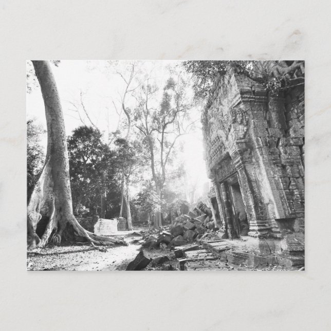Carte Postale Angkor Cambodia, Détails Ta Prohm (Devant)