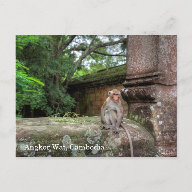 Carte Postale Angkor Wat Cambodge (Devant)