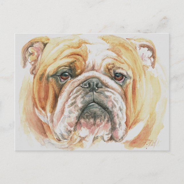 Carte Postale Anglais Bulldog Face Watercolor (Devant)