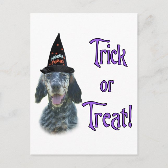 Carte Postale Anglais Setter Trick (Devant)