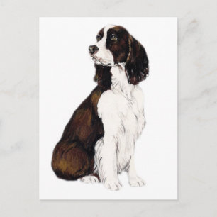 Carte postale anglaise Springer Spaniel Dog Art