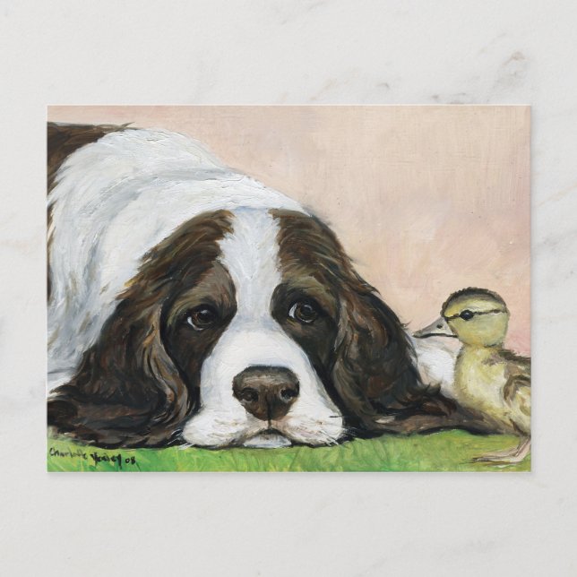 Carte postale anglaise Springer Spaniel et Duckkar (Devant)
