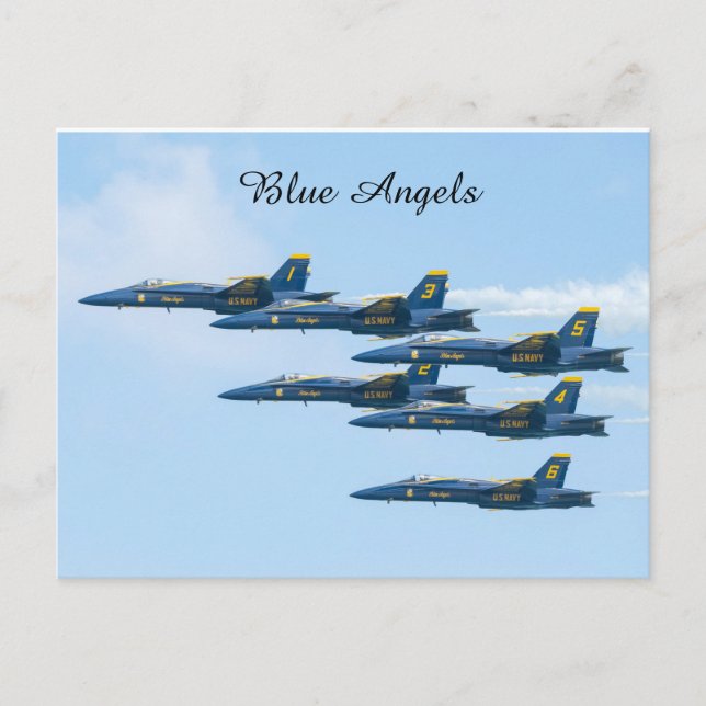 Carte Postale Angles bleus en formation (Devant)