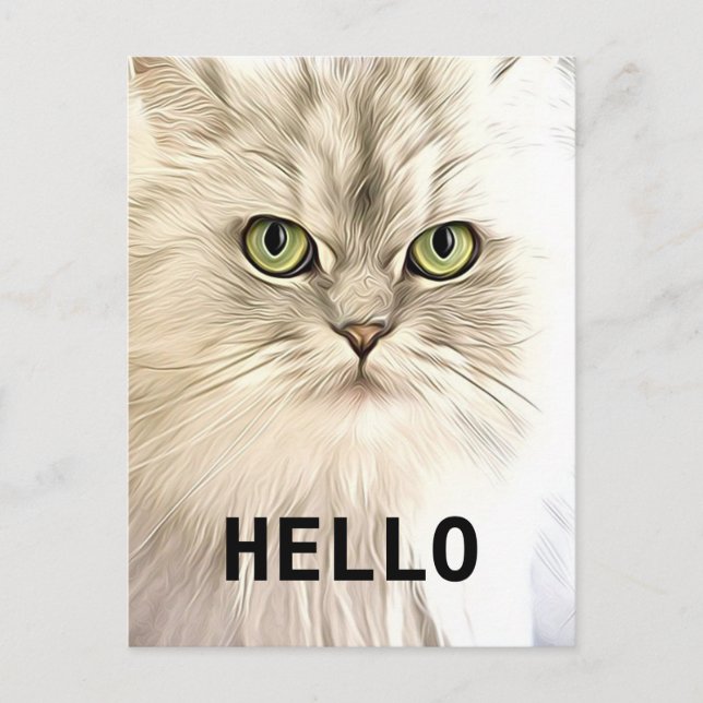 Carte Postale Angora Cat (Devant)