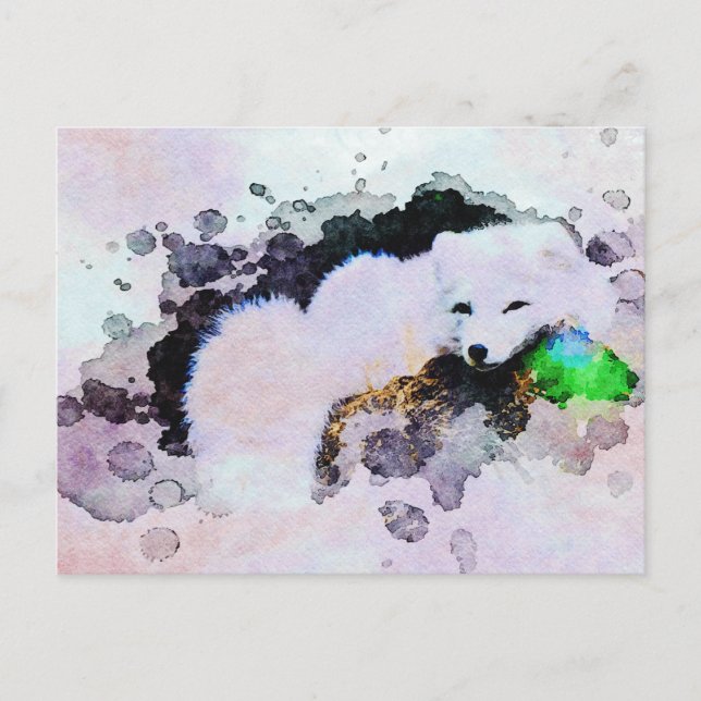 Carte Postale *~* Animal AP18 Renard des neiges Renard blanc pol (Devant)