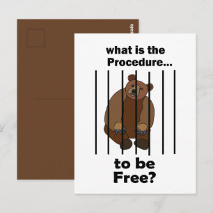 Carte Postale Animal captif ours demande procédure pour être lib